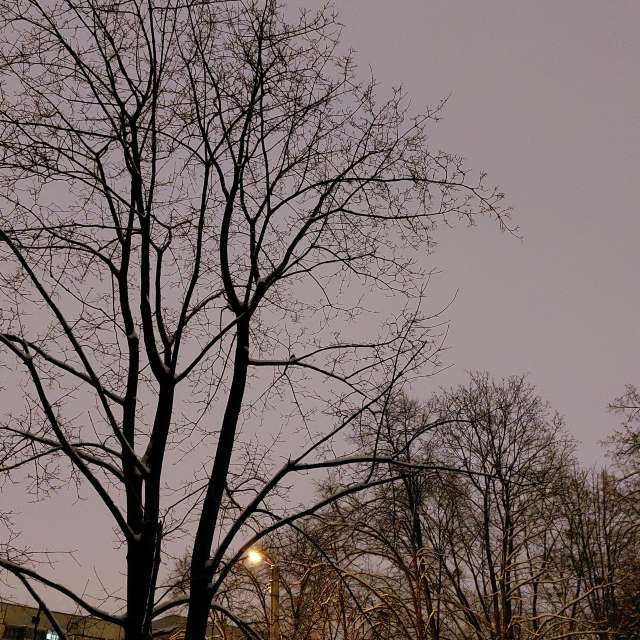 Illumination. Weather forecasts with beautiful photos by Iryna Photos in Kharkiv