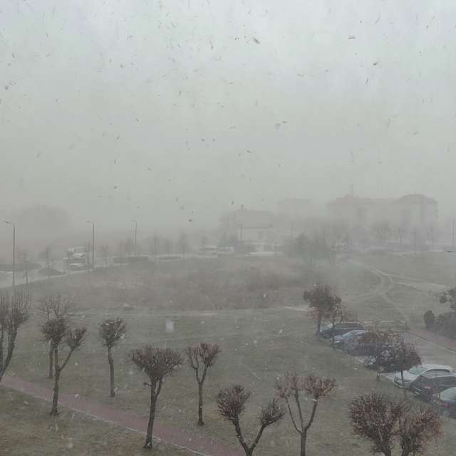 Standing. Weather forecasts with beautiful photos by Romek58 Photos in Wieluń