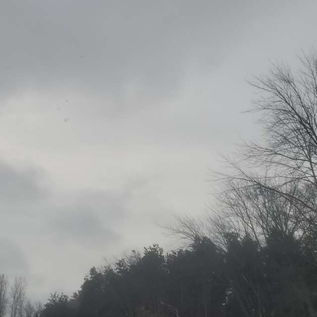 天气预报，带Zim Lotsa精美的照片