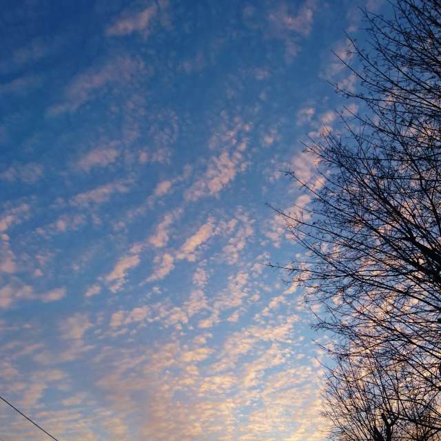 Track. Weather forecasts with beautiful photos by Михаил Гавриков Photos in Kharkiv