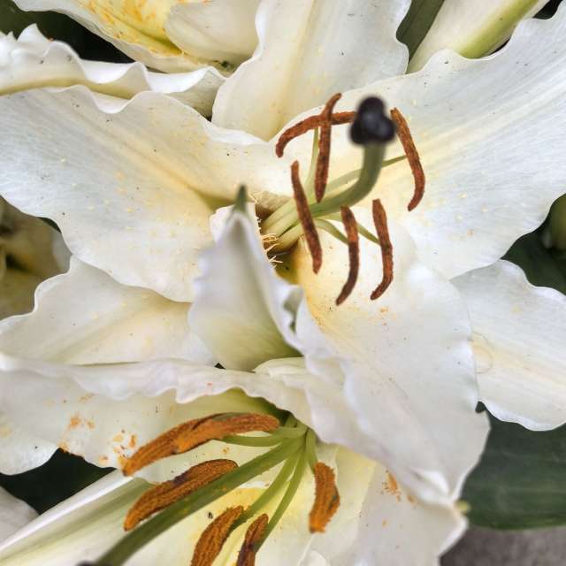 Fotos del Clima. Pronósticos del tiempo con hermosas fotos de YanBog en Strada Bozieni 6