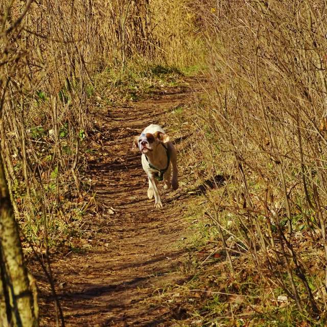 Sheep. Weather forecasts with beautiful photos by Михаил Гавриков Photos in Kharkiv