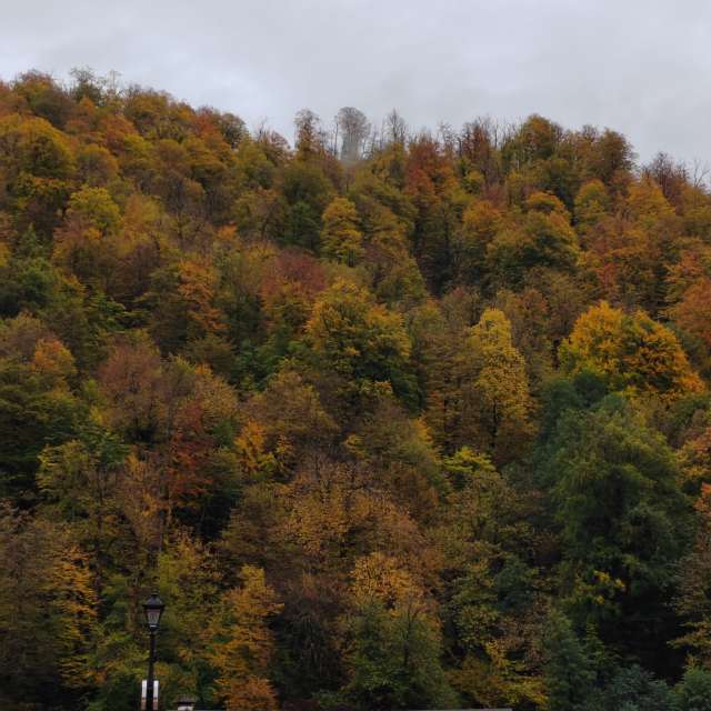Body. Weather forecasts with beautiful photos by Albert_Smelovtsev Photos in Roza Khutor