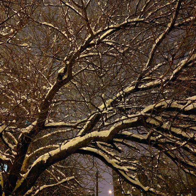 Fluffy. Weather forecasts with beautiful photos by Iryna Photos in Kharkiv