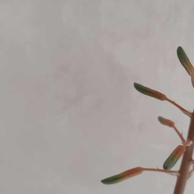 Weather forecasts with beautiful photos by Siulasem