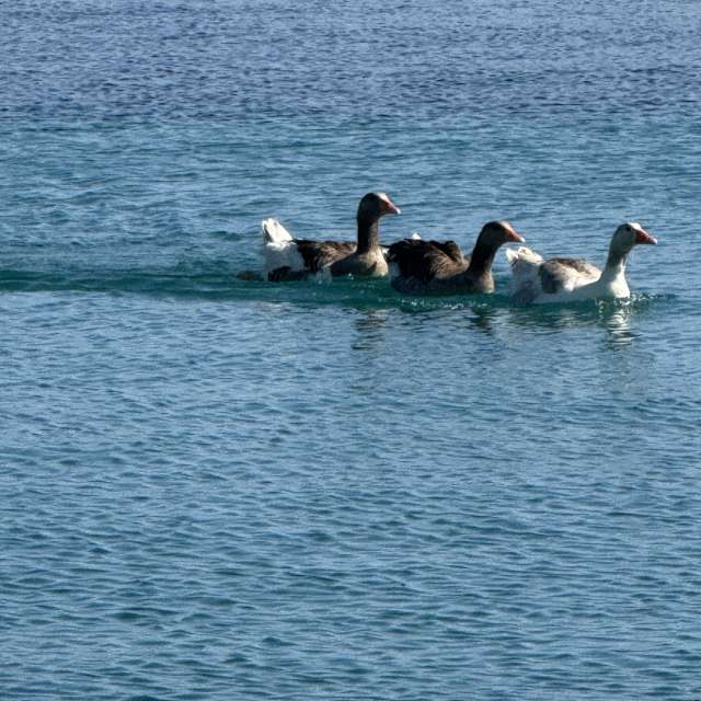 Dự báo thời tiết với những bức ảnh đẹp của mas777777