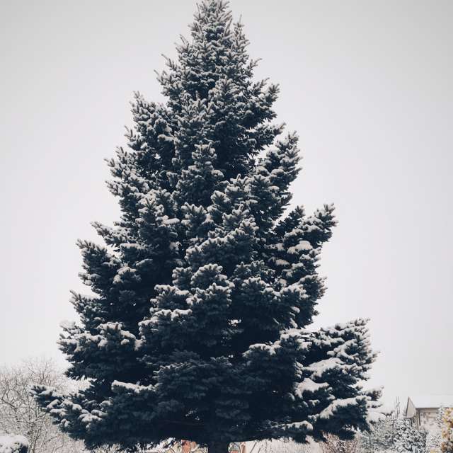 George Popoの美しい写真による天気予報