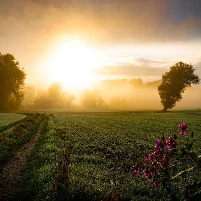 Fotos Clima. Previsões do tempo com lindas fotos de Li-Bro em Kranzberg
