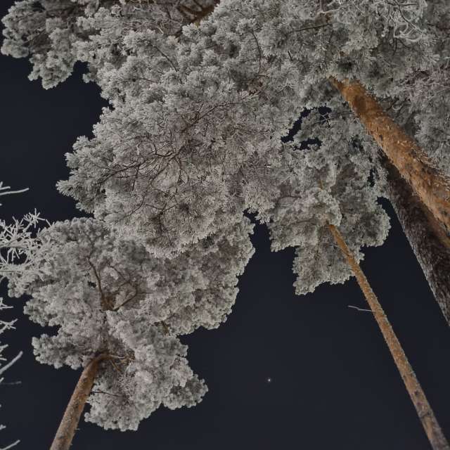 Pronósticos del tiempo con hermosas fotos de Fox_1900