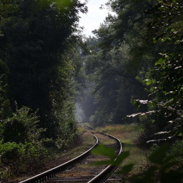 Weather forecasts with beautiful photos by _feela