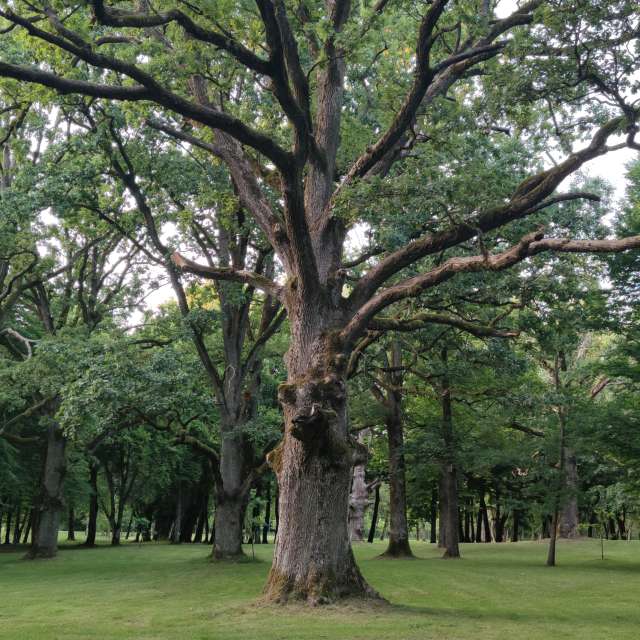 Pronósticos del tiempo con hermosas fotos de Maryous