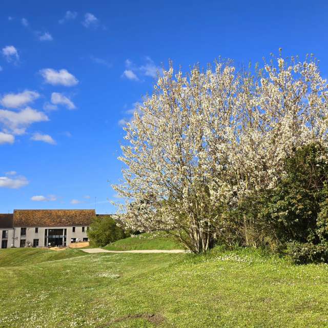 天气预报，带Woosung精美的照片