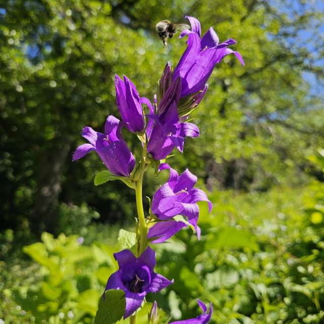 Colorful. Weather forecasts with beautiful photos by Albert_Smelovtsev Photos in Roza Khutor