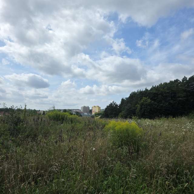 xPrzybyLxの美しい写真による天気予報