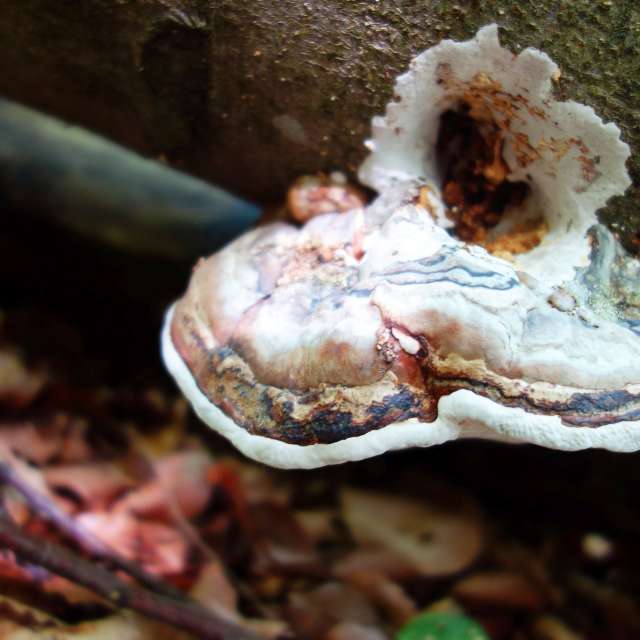 Weather forecasts with beautiful photos by steve2025s