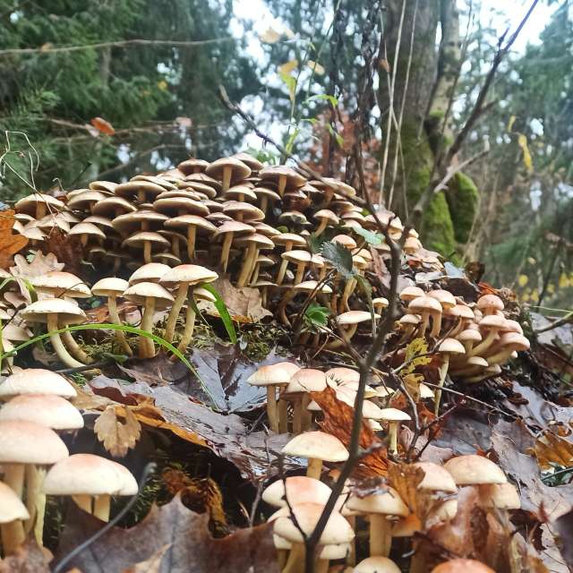 天气预报，带Helo_Sam精美的照片