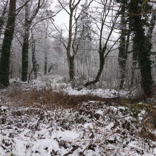 Fotos Madeira. Previsões do tempo com lindas fotos de Vasek325 em Praha 4