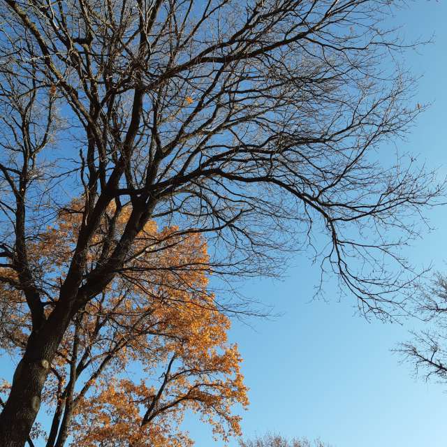 October. Weather forecasts with beautiful photos by Iryna Photos in Kharkiv