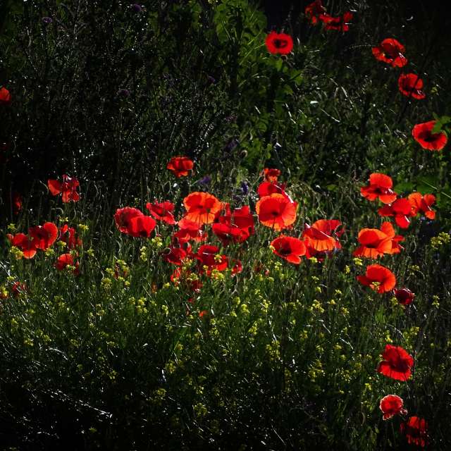 Front. Weather forecasts with beautiful photos by Михаил Гавриков Photos in Kharkiv