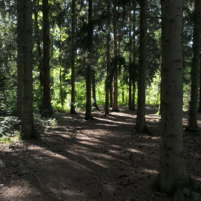 Pronósticos del tiempo con hermosas fotos de Richtoldi