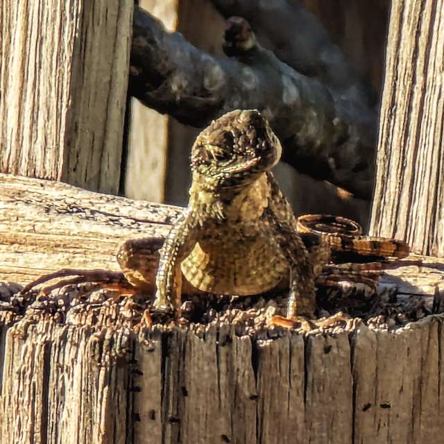 Weather forecasts with beautiful photos by boilerdude