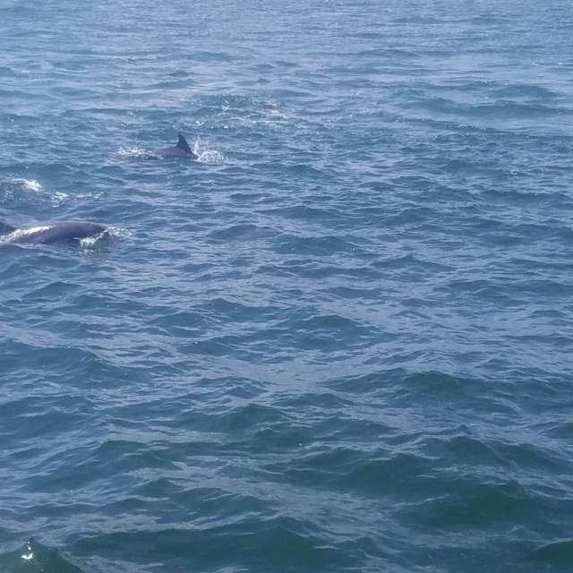 Pronósticos del tiempo con hermosas fotos de Jasoncrissy