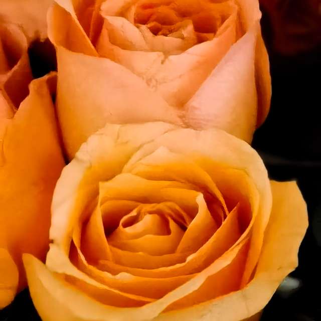 Wettervorhersagen mit schönen Fotos von Terraza74