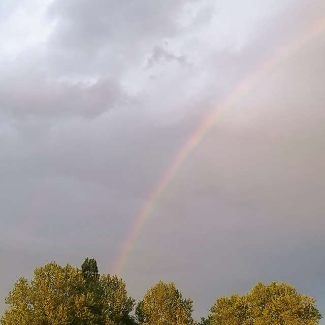 Rauch. Wettervorhersagen mit schönen Fotos von Kripo Fotos Niederösterreich
