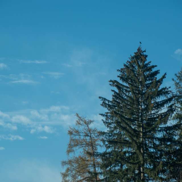 Weather forecasts with beautiful photos by Airene