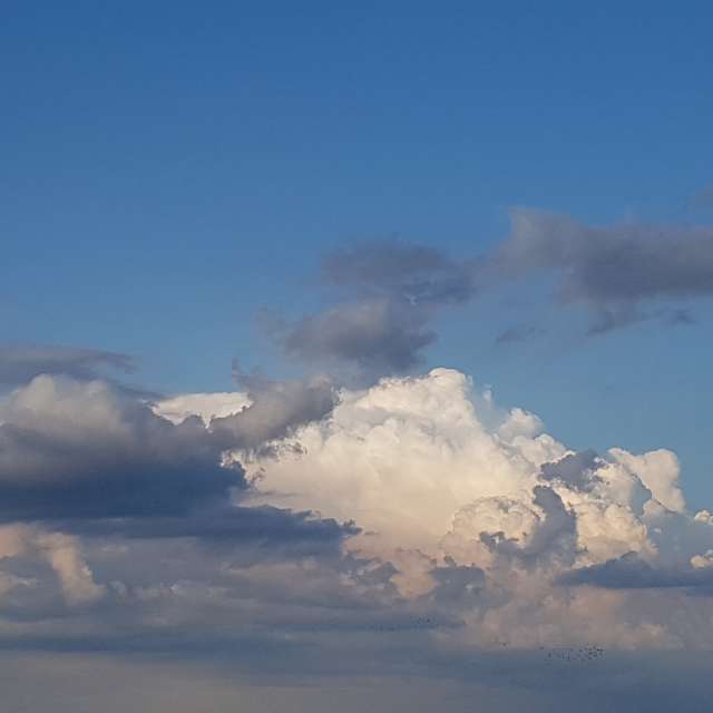 Fotos Grande. Previsões do tempo com lindas fotos de Thinner1000 em Schwerin