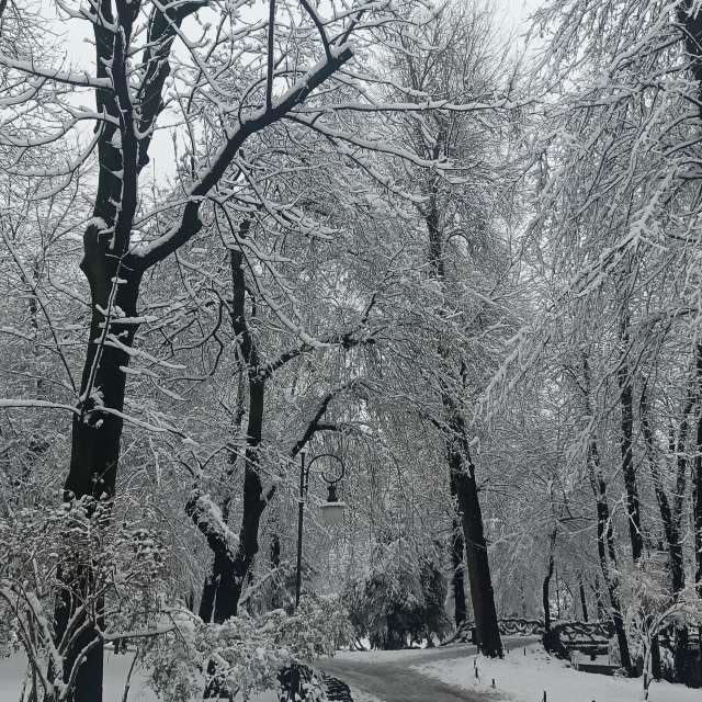 Fotos del Lado. Pronósticos del tiempo con hermosas fotos de YanBog en București