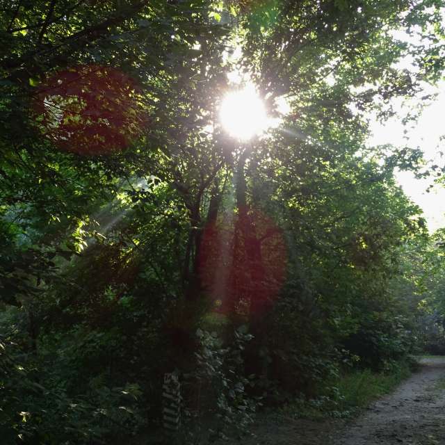 Stop. Weather forecasts with beautiful photos by Михаил Гавриков Photos in Kharkiv