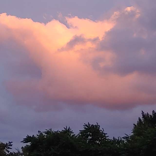 Jazzinevirgaの美しい写真による天気予報