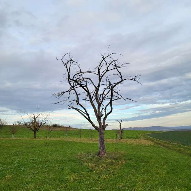 Weather forecasts with beautiful photos by aida-khaldi