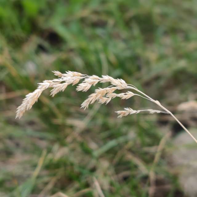 Alexxabrの美しい写真による天気予報