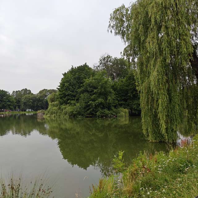 Fotos del Puente. Pronósticos del tiempo con hermosas fotos de zjabri en Cracovia
