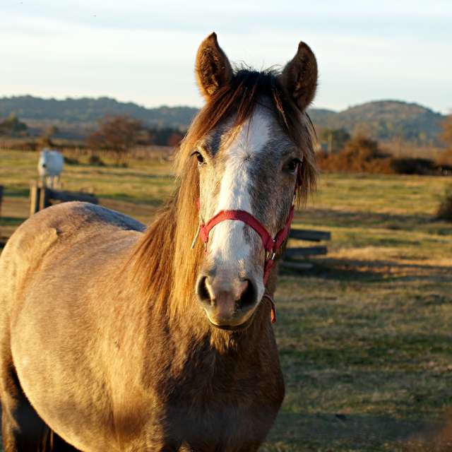 Field. Weather forecasts with beautiful photos by tony5636 Photos in World