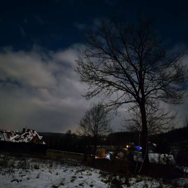 duck102の美しい写真による天気予報