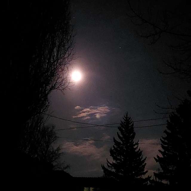 Light. Weather forecasts with beautiful photos by Iryna Photos in Kharkiv