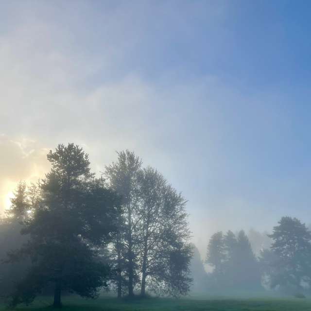 Wettervorhersagen mit schönen Fotos von Dmitry8