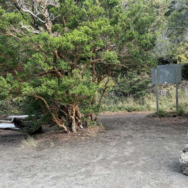 Weather forecasts with beautiful photos by Maria Paulina Bustamante Arria