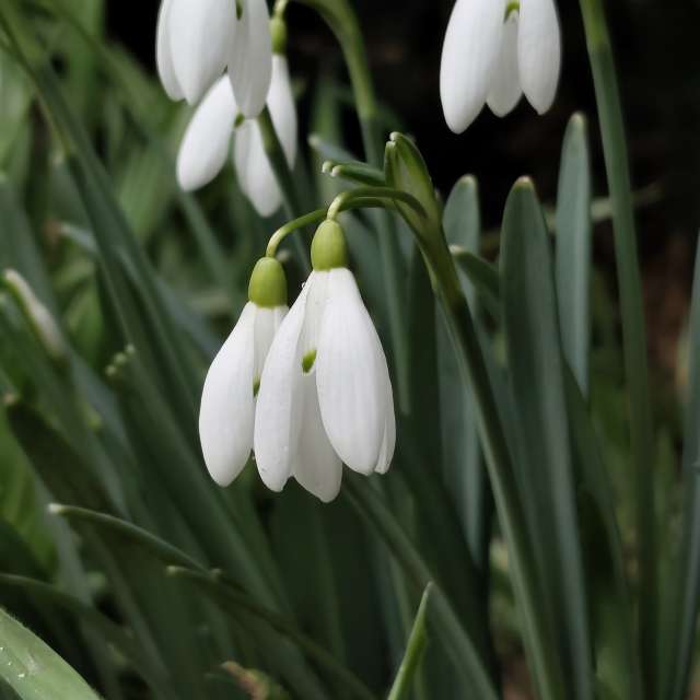 IvanaBの美しい写真による天気予報