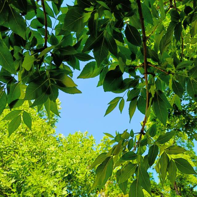 天气预报，带Doc_H精美的照片