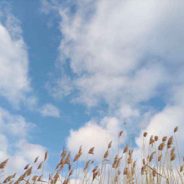 Weather Photos in World. Weather forecasts with beautiful photos by mikhai