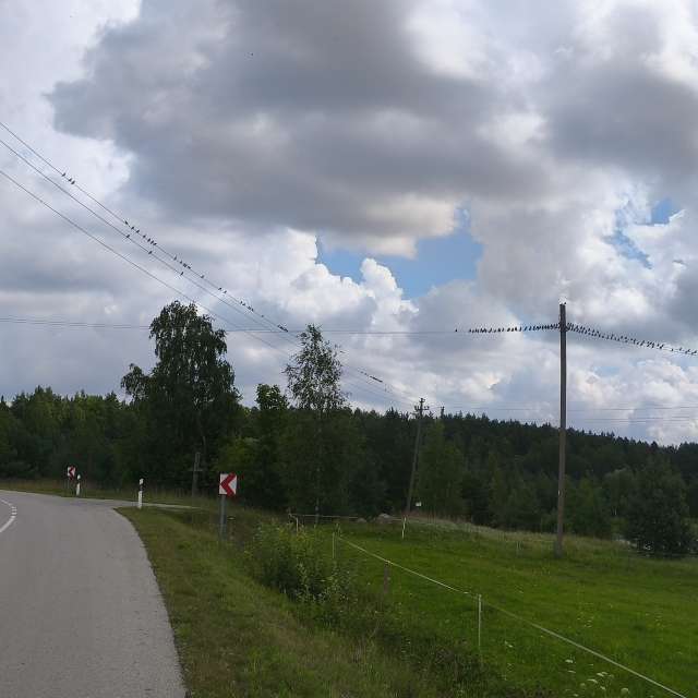 Wettervorhersagen mit schönen Fotos von Valiukas