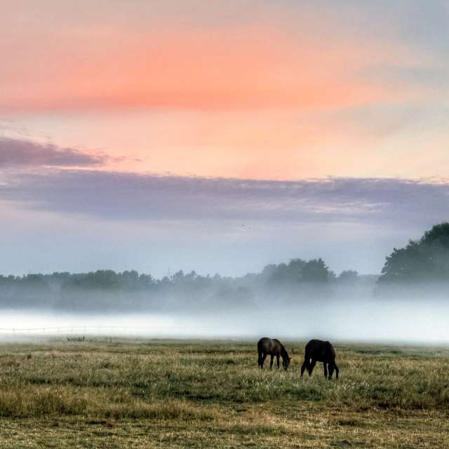 Prévisions météo avec de superbes photos de Lotti5507