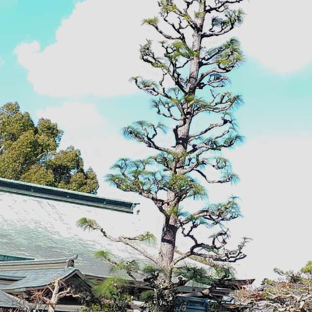 Weather forecasts with beautiful photos by umemui