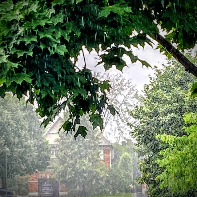 Feu. Wettervorhersagen mit schönen Fotos von Lulu5523 Fotos le Plateau