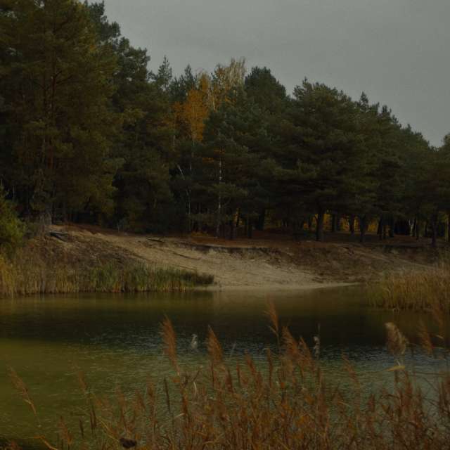 Pronósticos del tiempo con hermosas fotos de RuslanLeuliukh