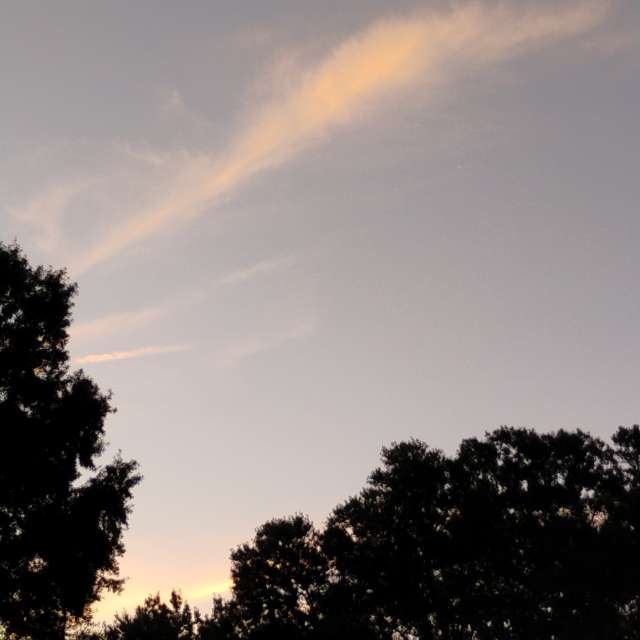 Kite. Weather forecasts with beautiful photos by Awcat Photos in Riverwalk Parkway